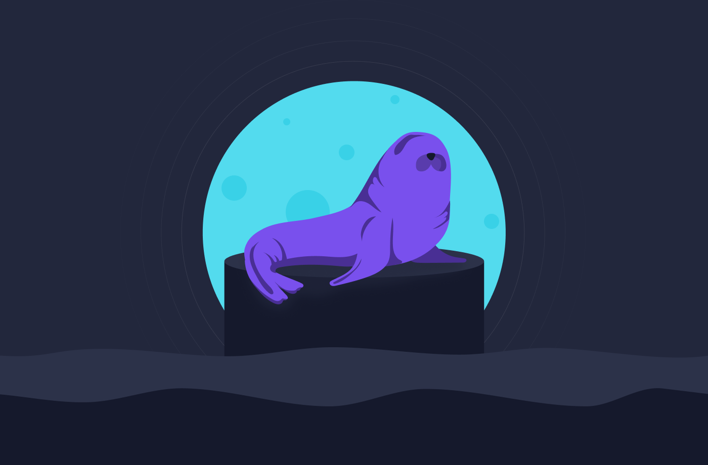 Code Your Way to Seals